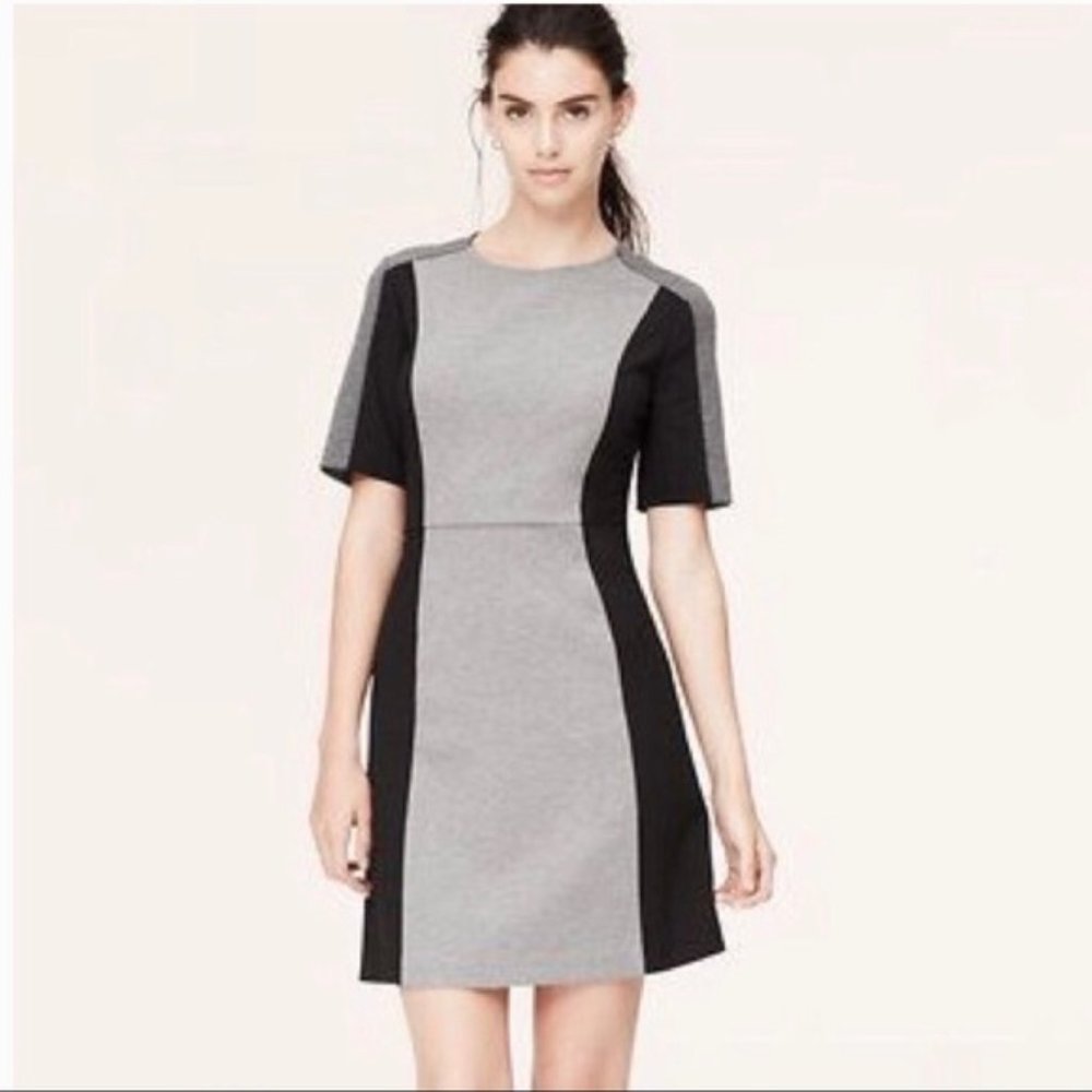 LOFT Colorblock Ponte Knit Short Sleeve Dress 10M